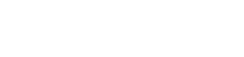 Stadtspionin_Logo